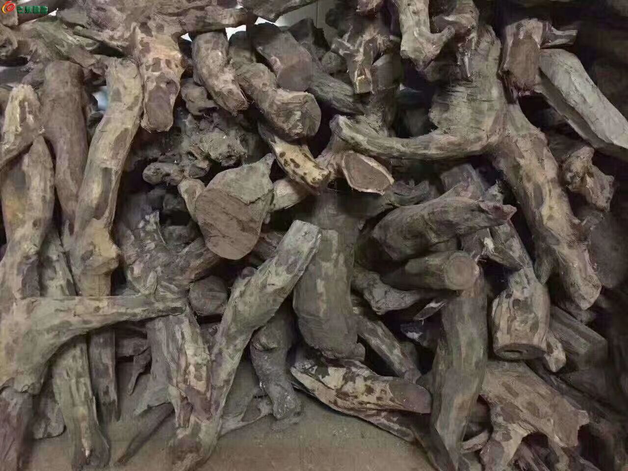 ͼƬ´ڴ򿪲鿴