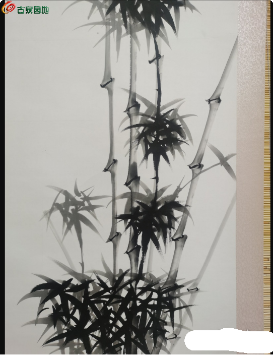 局部截取_20250302_215532.png
