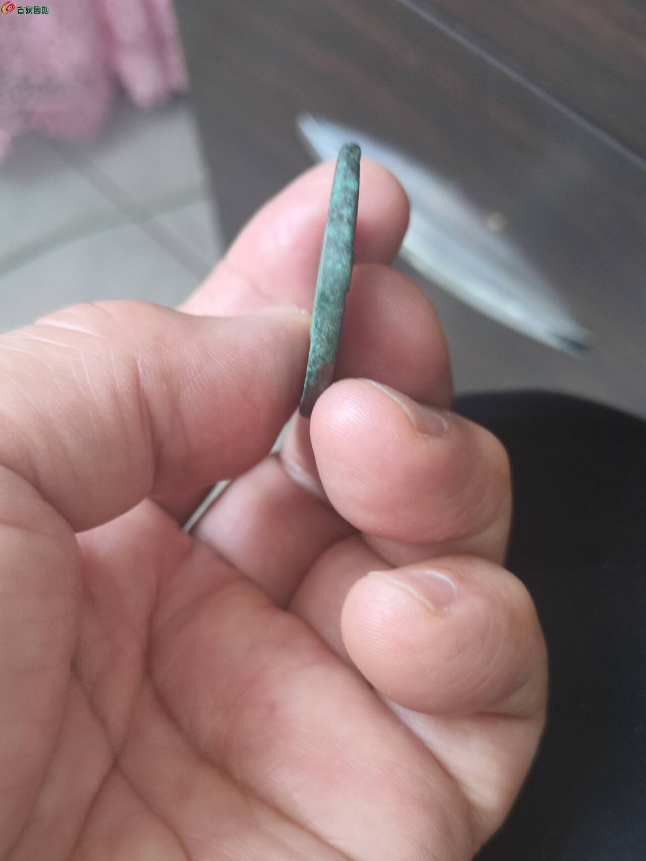 84671.jpg