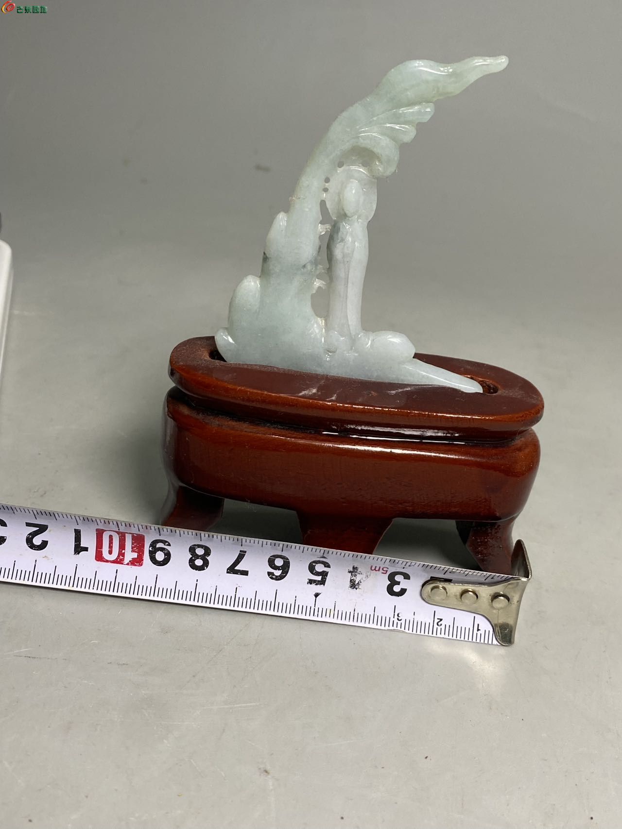 64182.jpg