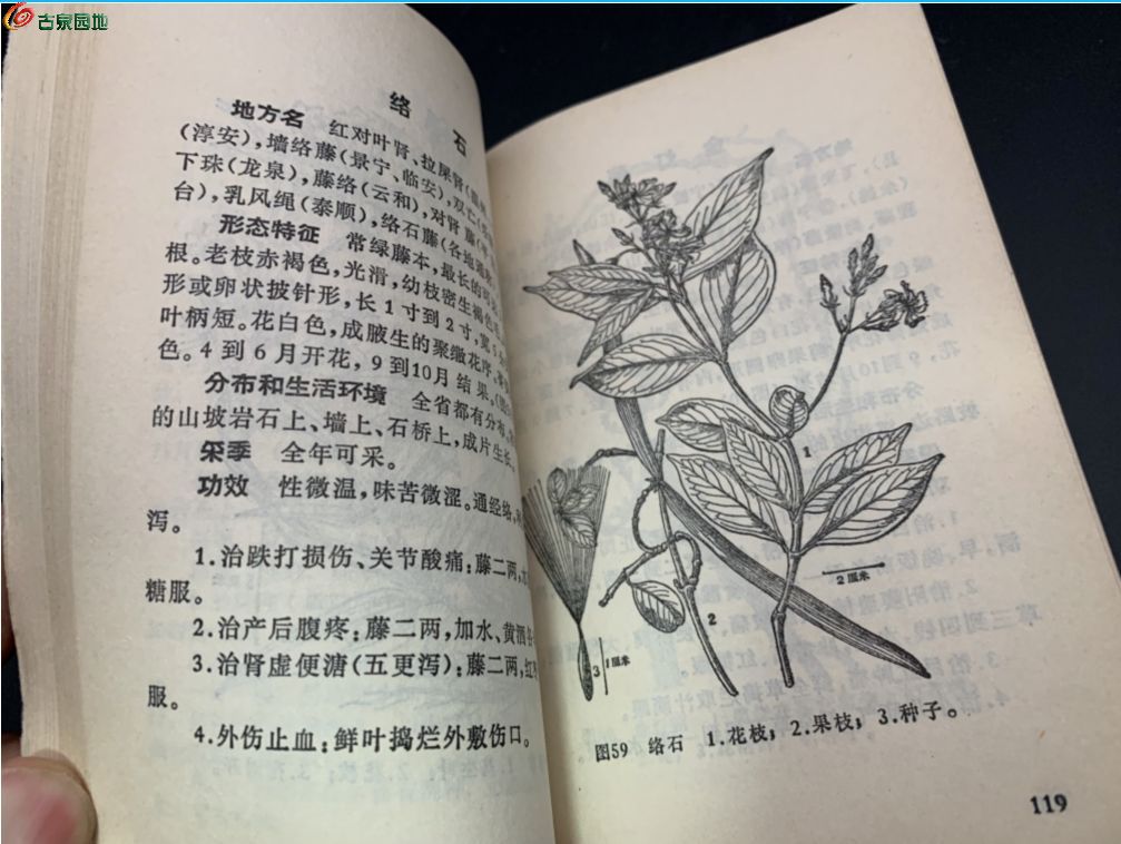 QQ图片20250425230614.jpg