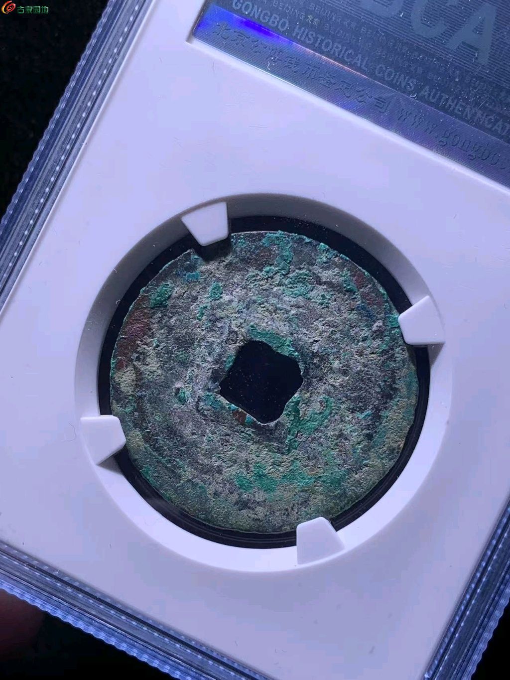 ͼƬ´ڴ򿪲鿴