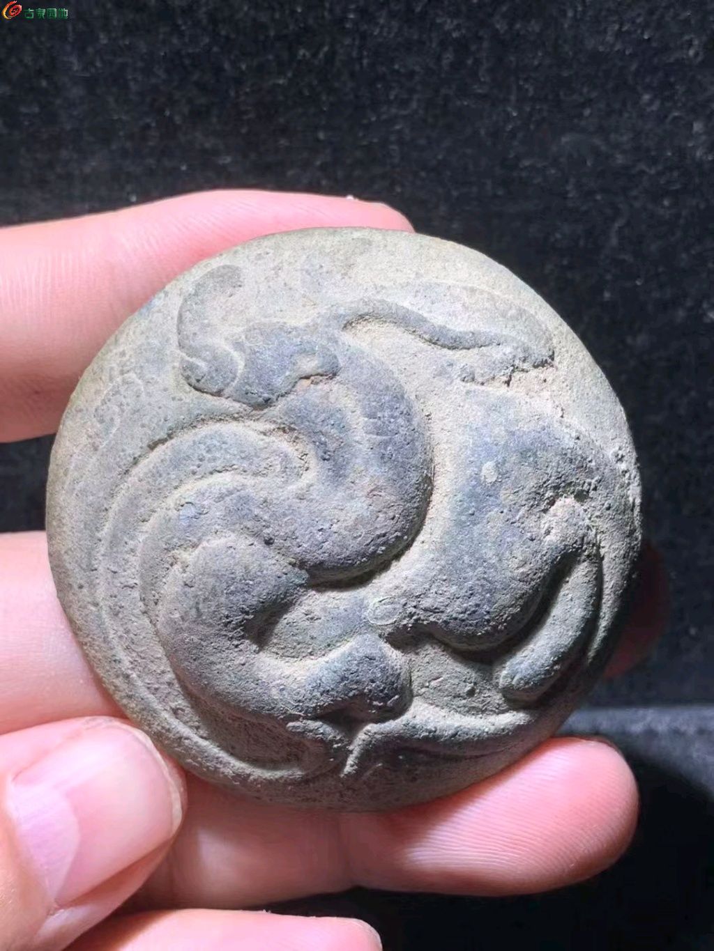 图片点击可在新窗口打开查看