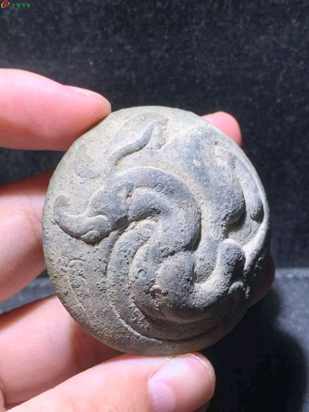 图片点击可在新窗口打开查看