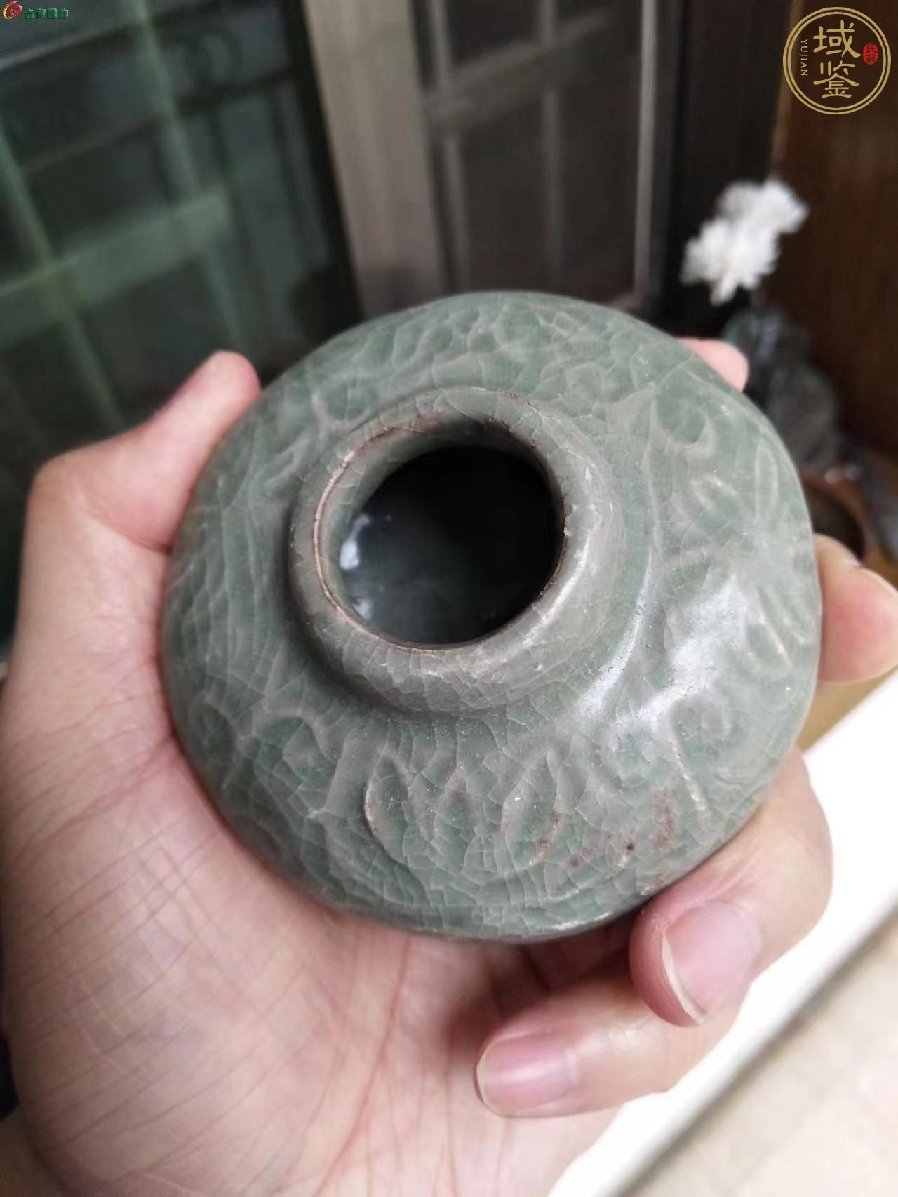 1746096667335.jpg