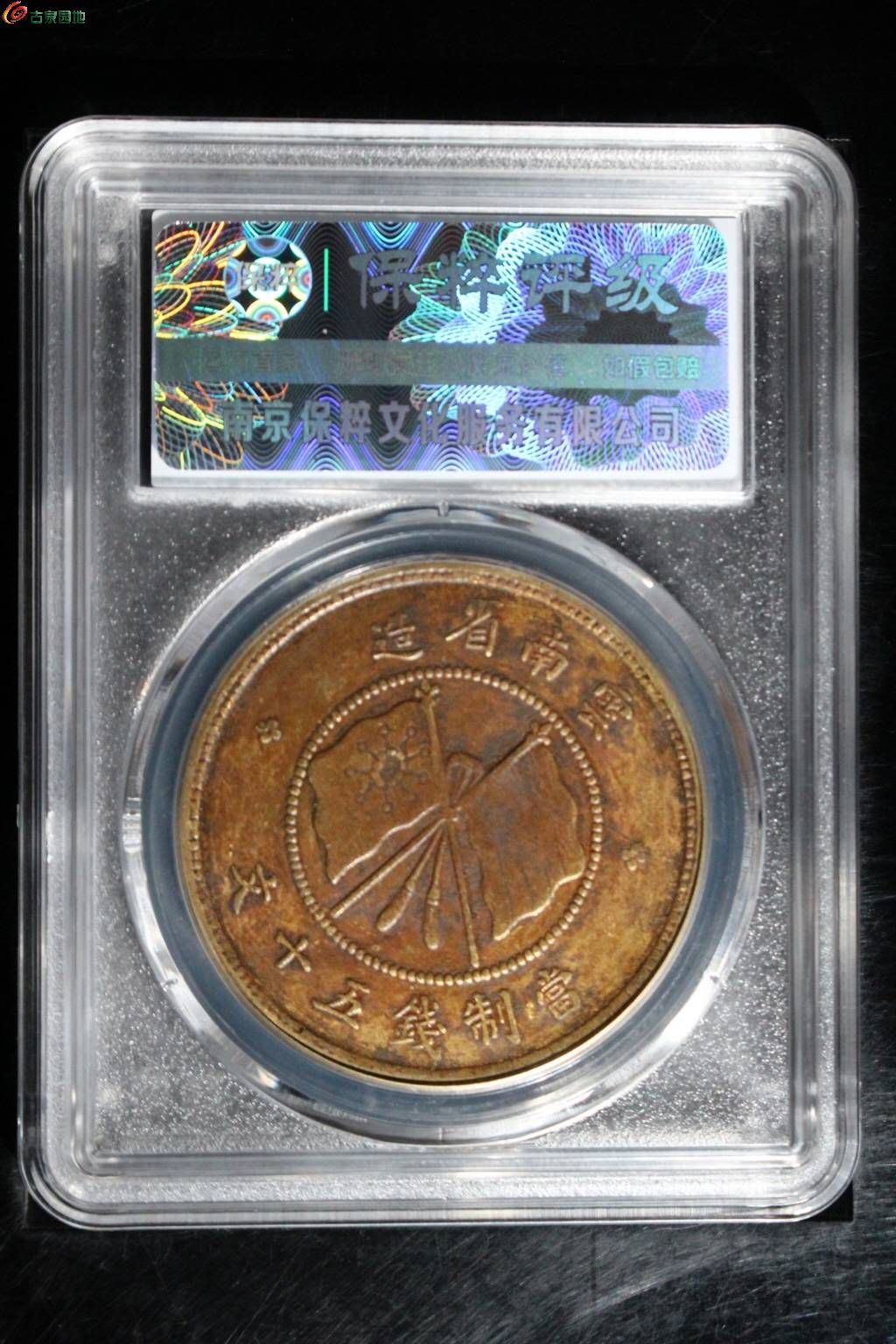 19392.jpg