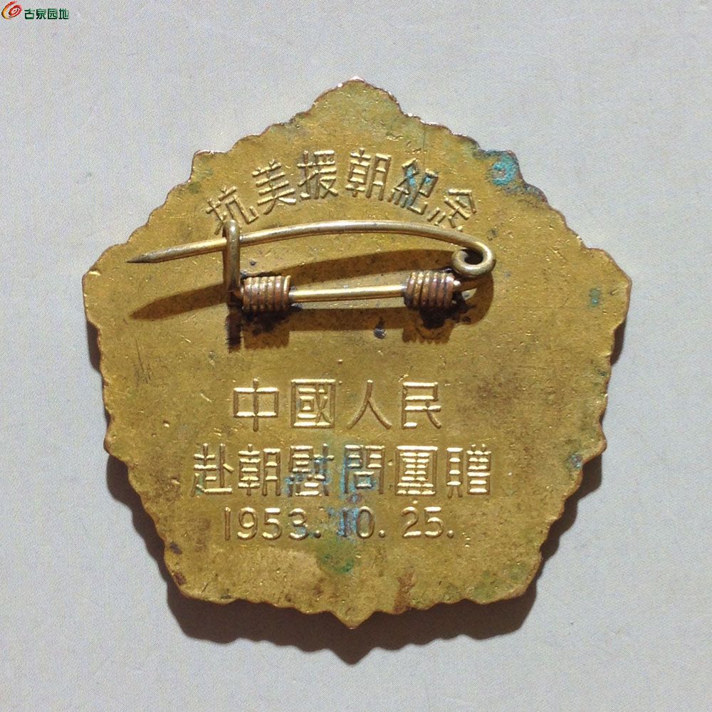 20250305和平鸽B.jpg
