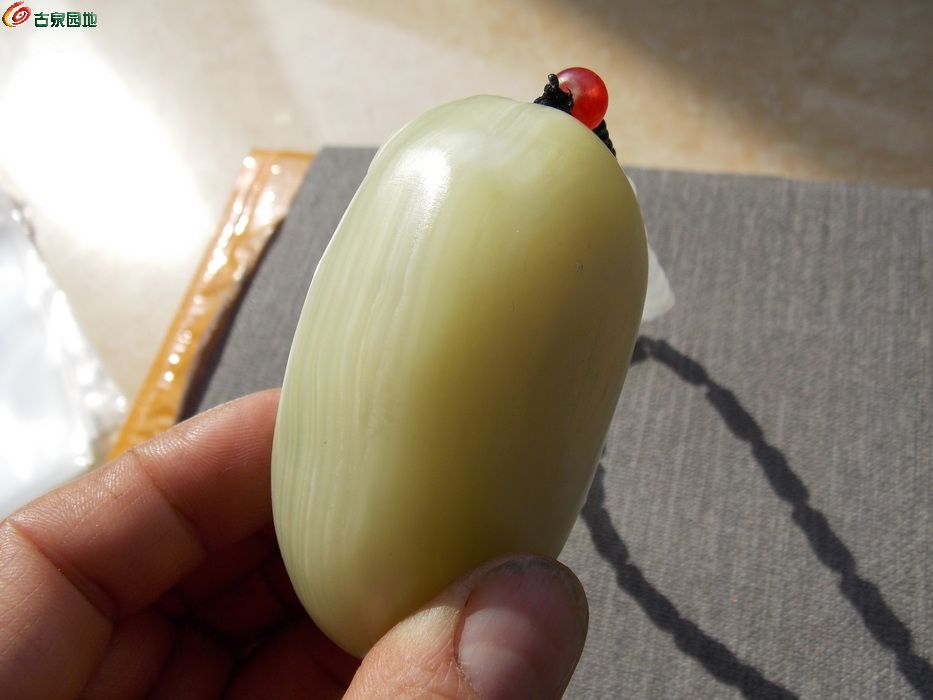 DSCN6206_调整大小.JPG