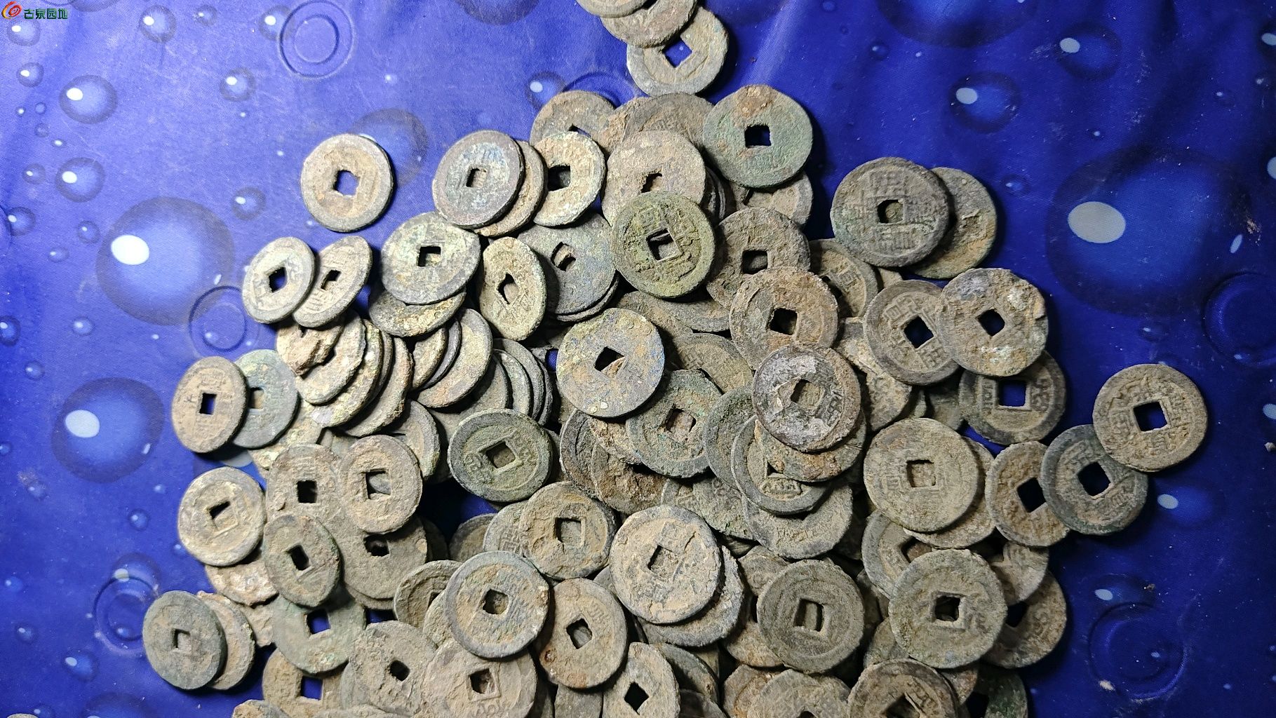 1747113891368.xfile.jpg