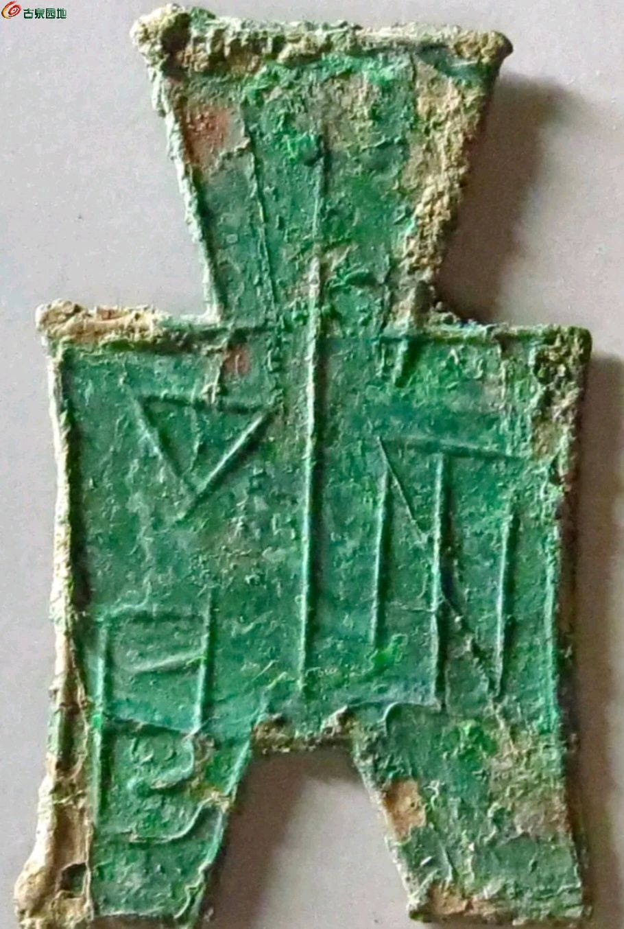 1747127012215.xfile.jpg