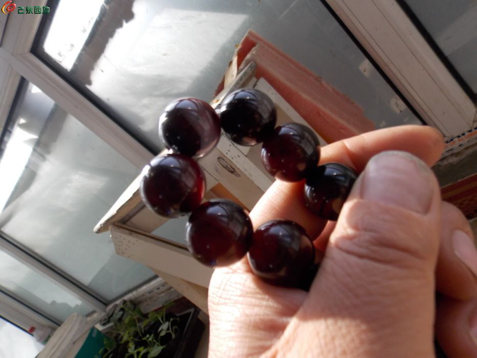 DSCN6301_调整大小.JPG