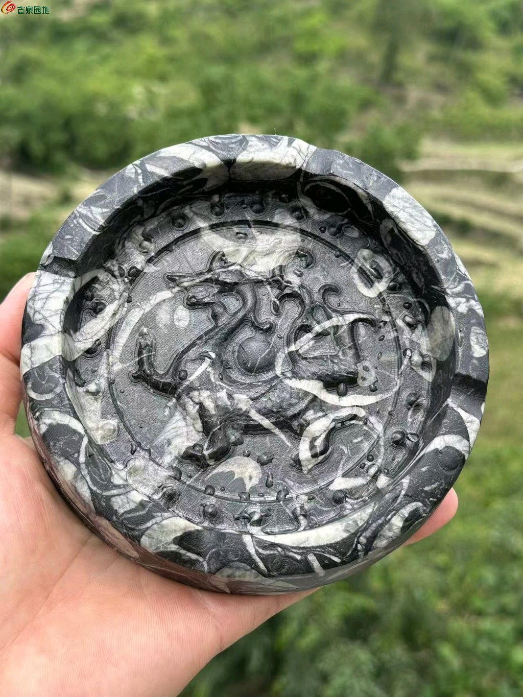 图片点击可在新窗口打开查看