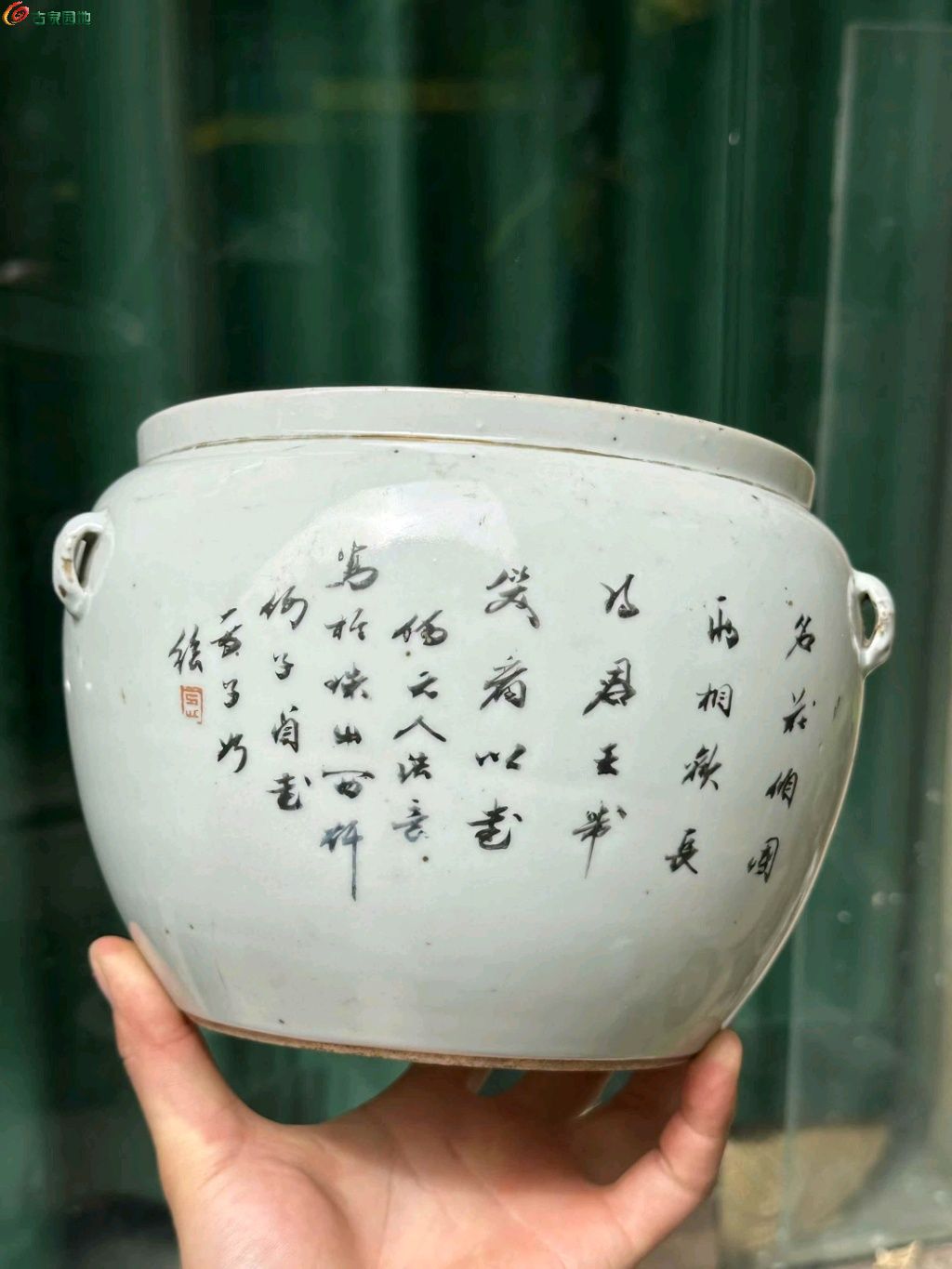 图片点击可在新窗口打开查看