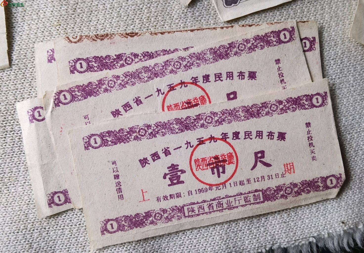 1745900103954.xfile.jpg