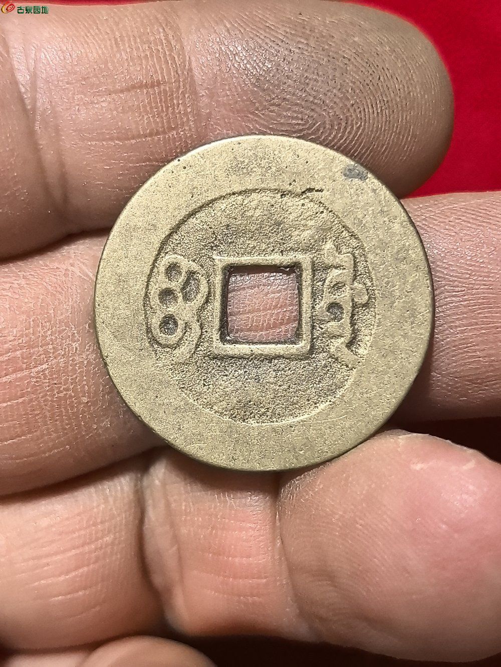 1746068957230.jpg