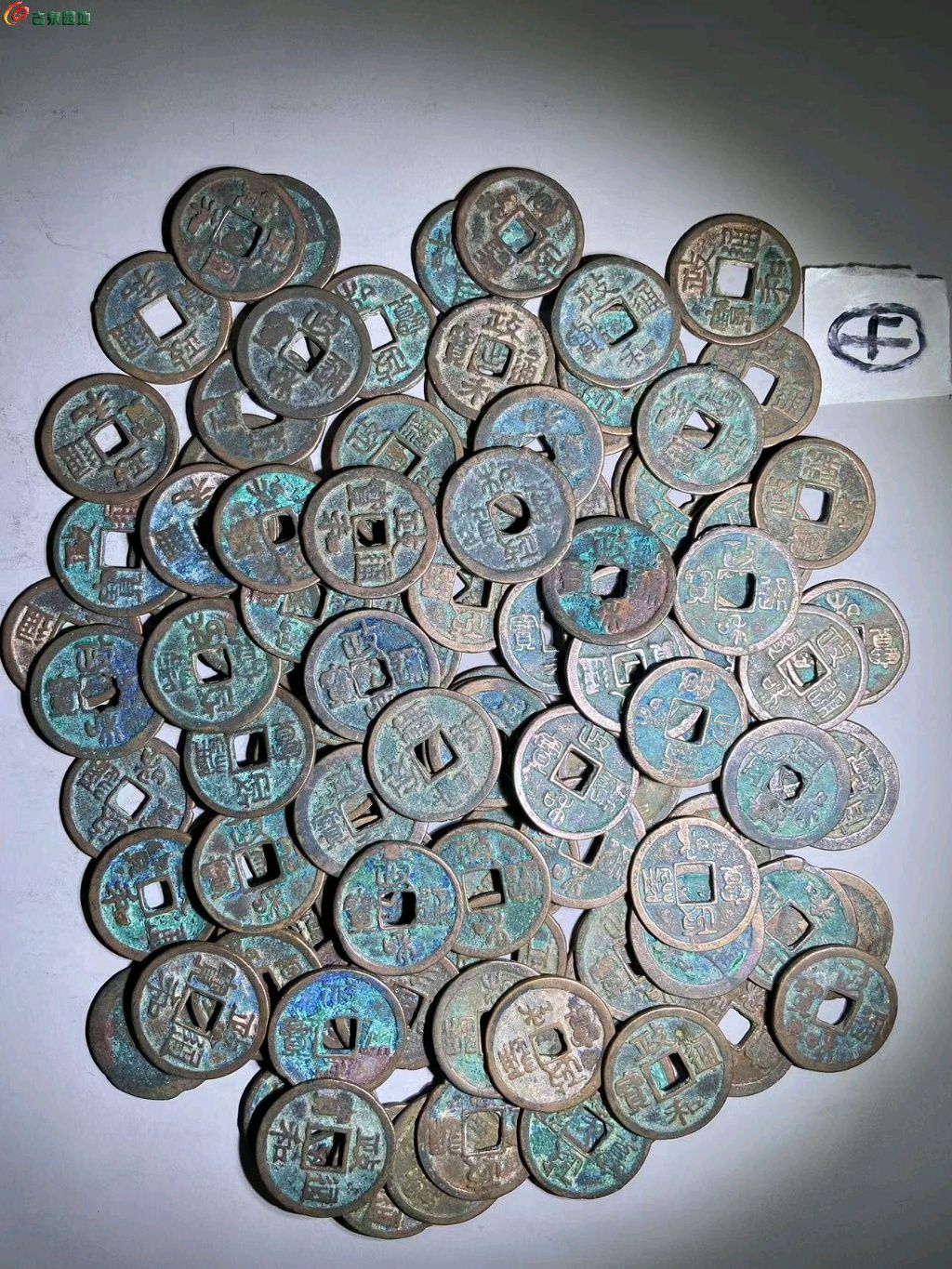 1746325253206.xfile.jpg