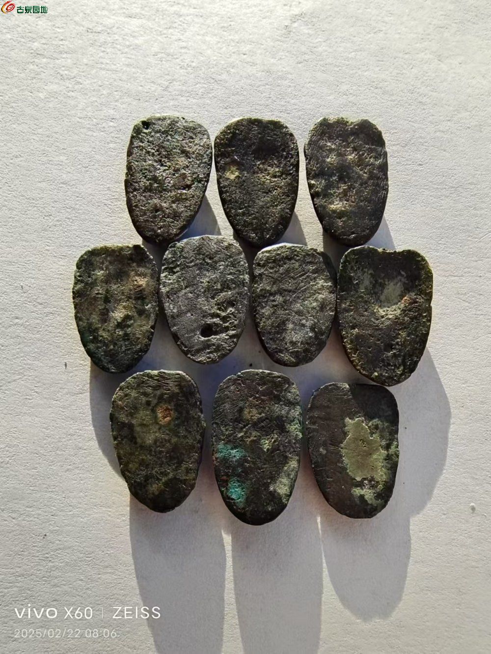 85.jpg