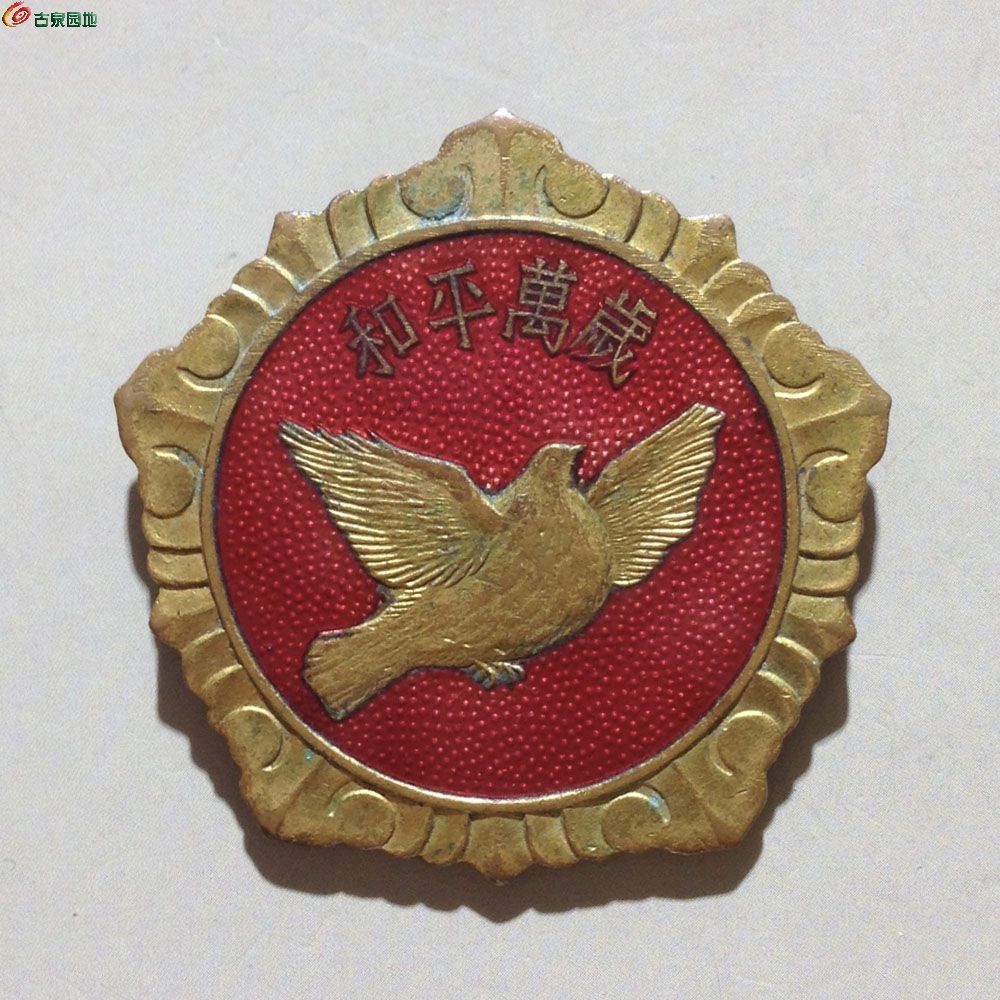 20250305和平鸽A.jpg