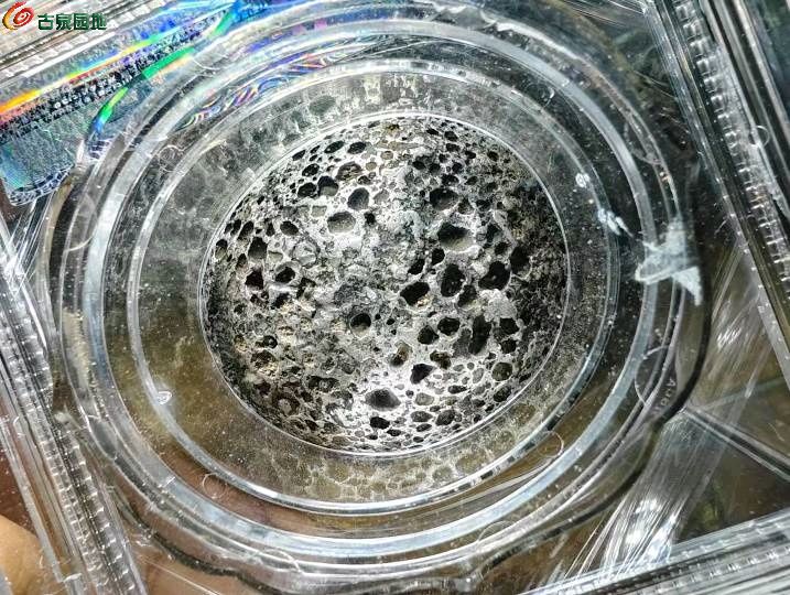 图片点击可在新窗口打开查看