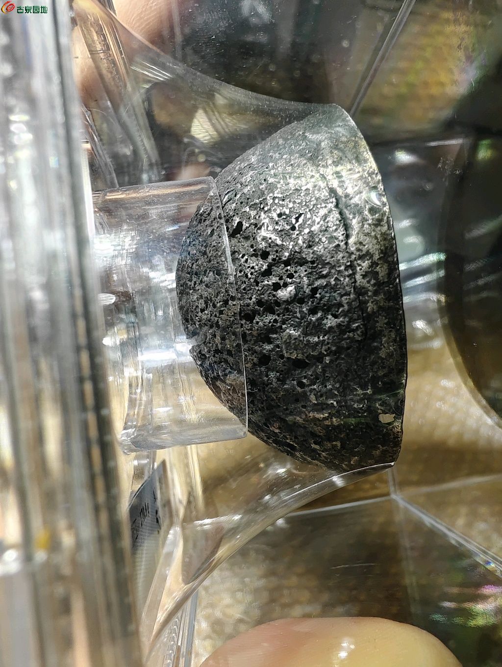 图片点击可在新窗口打开查看