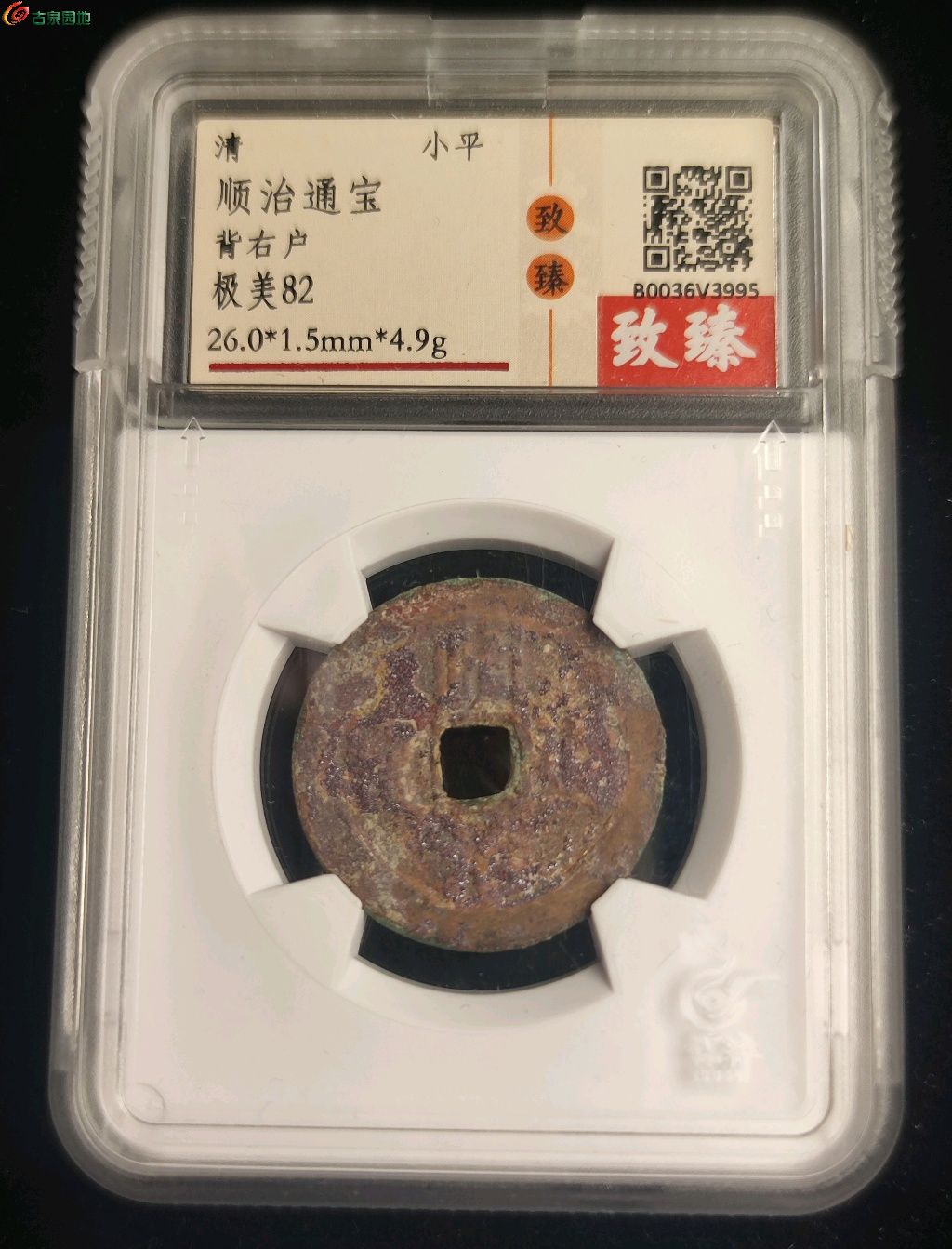 1746937119642.xfile.jpg