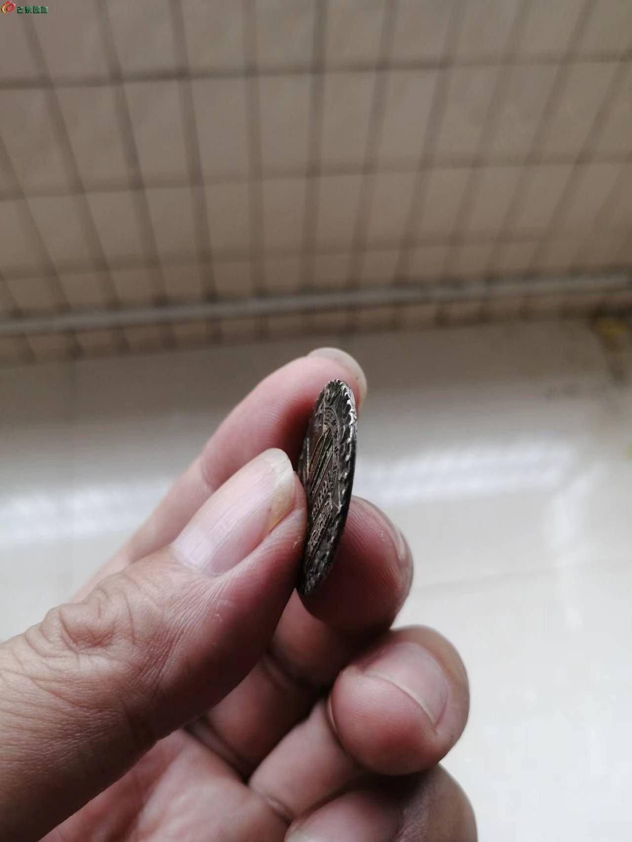 27074.jpg