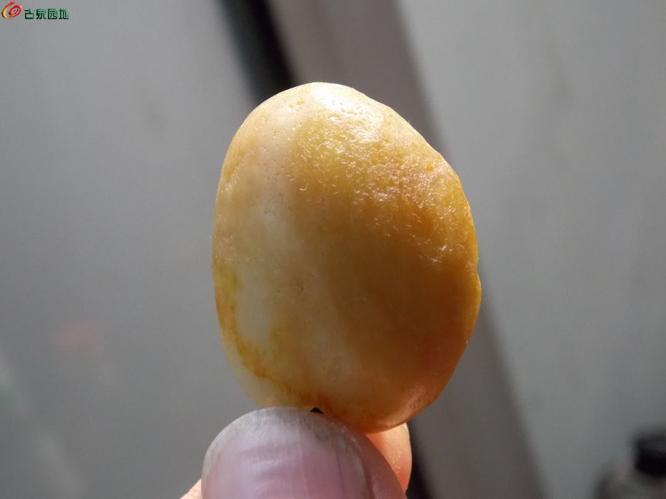 DSCN0541_调整大小.JPG
