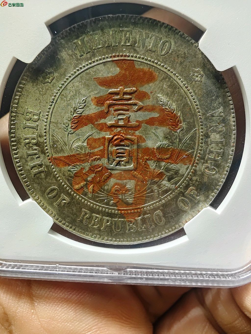 图片点击可在新窗口打开查看