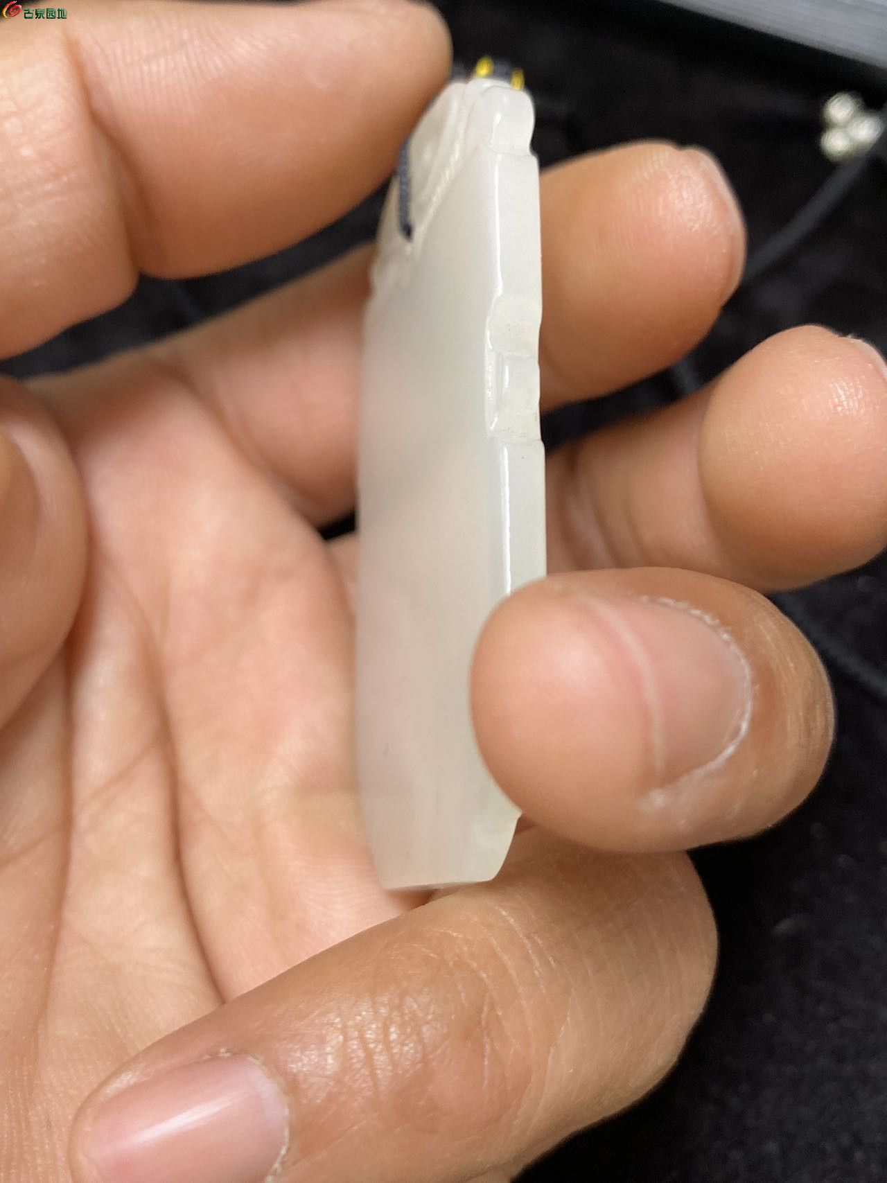 95703.jpg