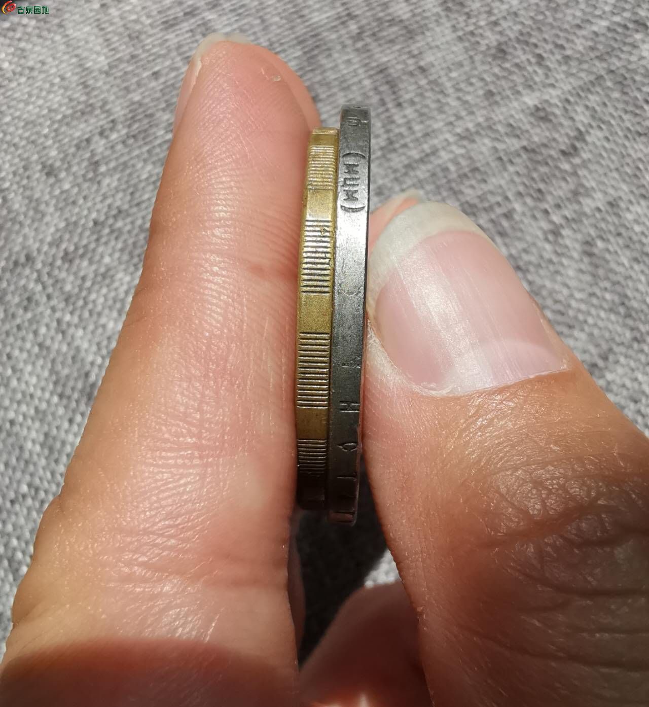83246.jpg