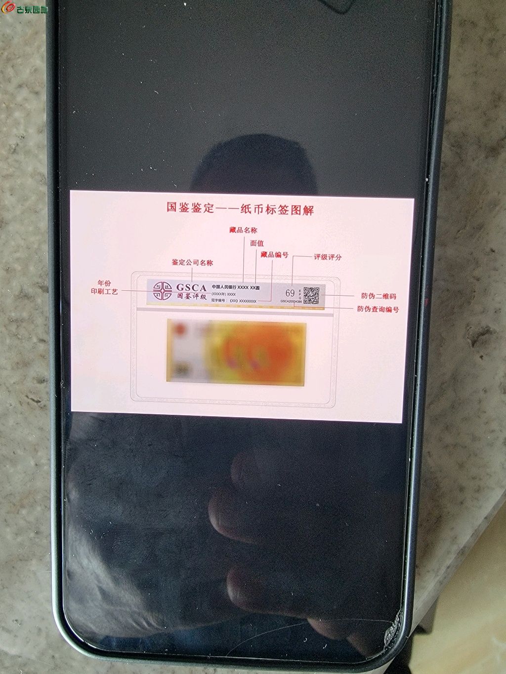 1744943812752.xfile.jpg