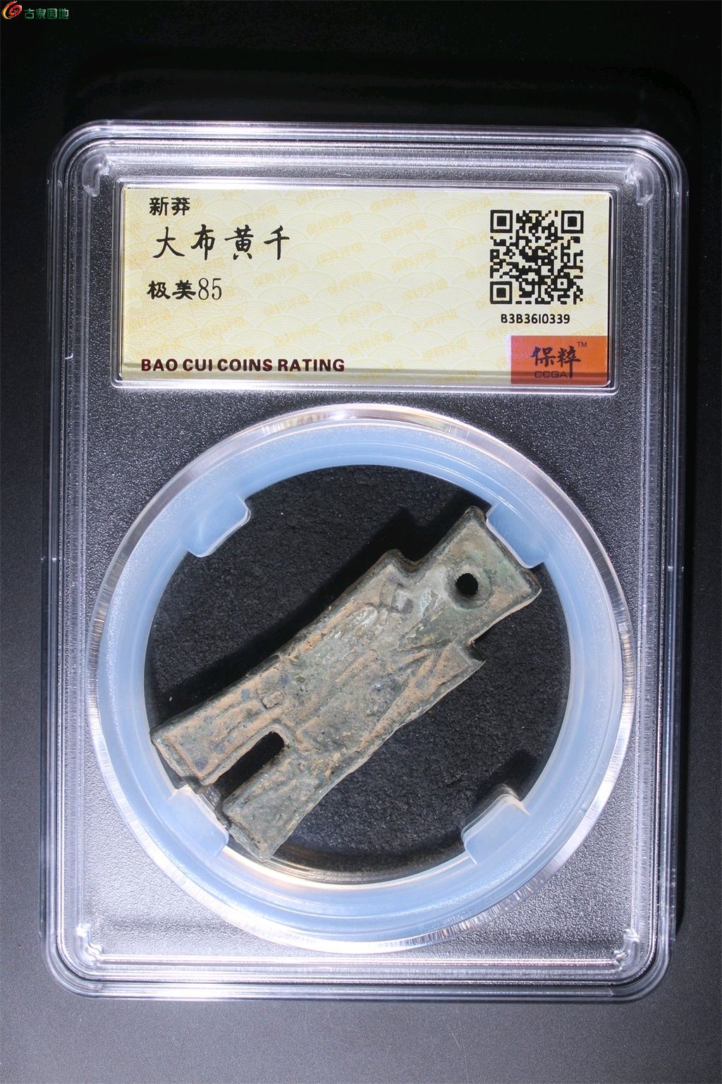 1746255590337.xfile.jpg