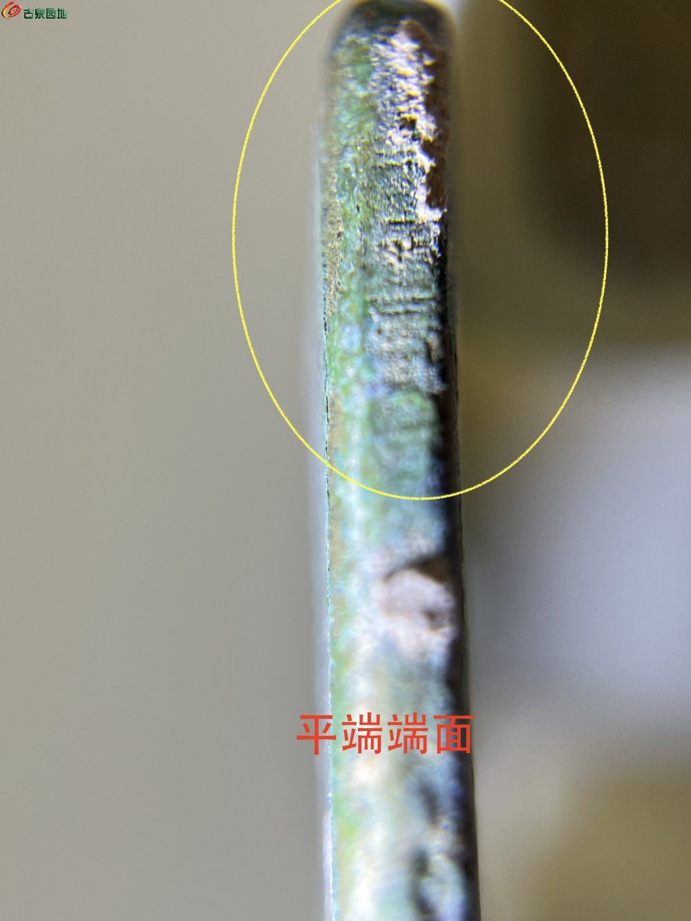 IMG_0293 2拷貝.JPG