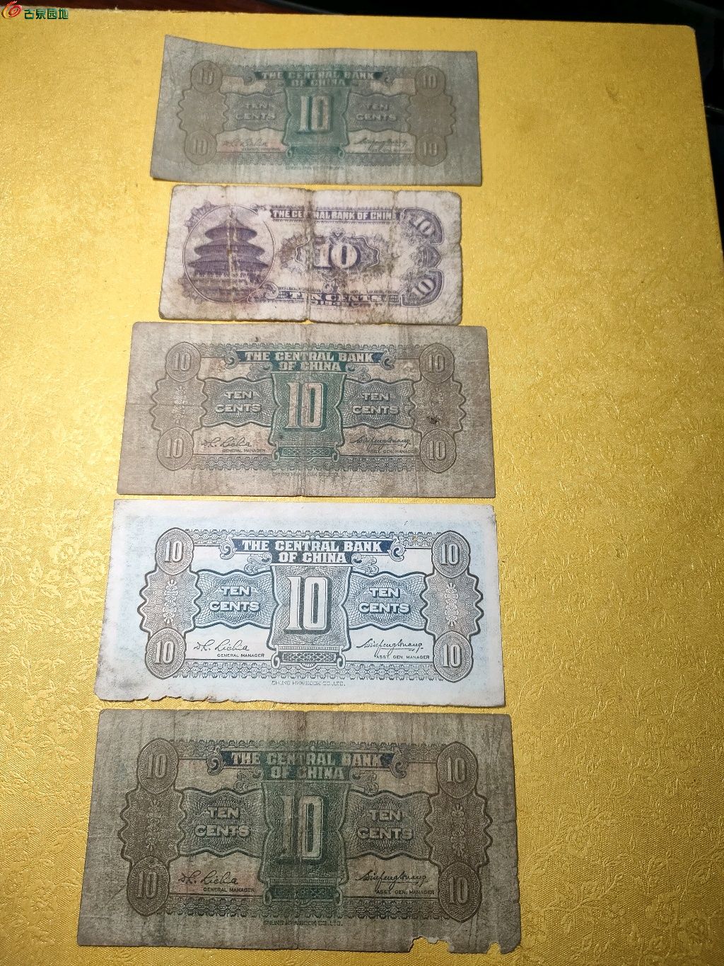 1746834808368.xfile.jpg