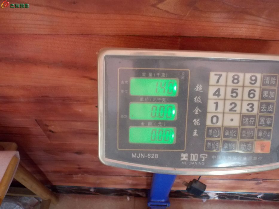 DSCN6233_调整大小.JPG
