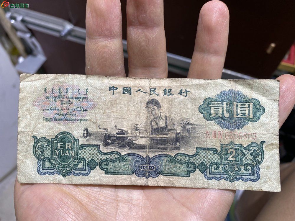 87988.jpg