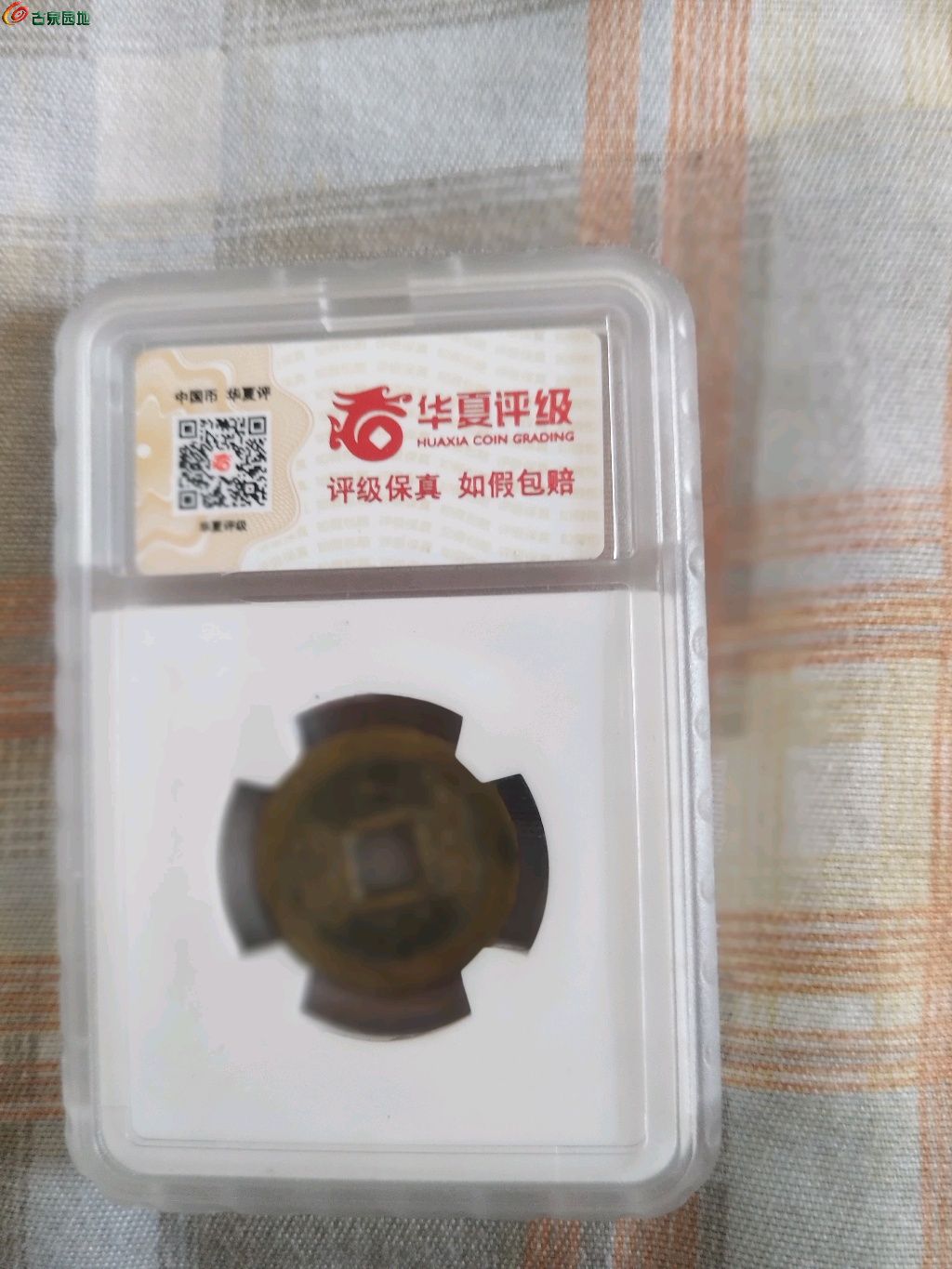 1744608264077.xfile.jpg