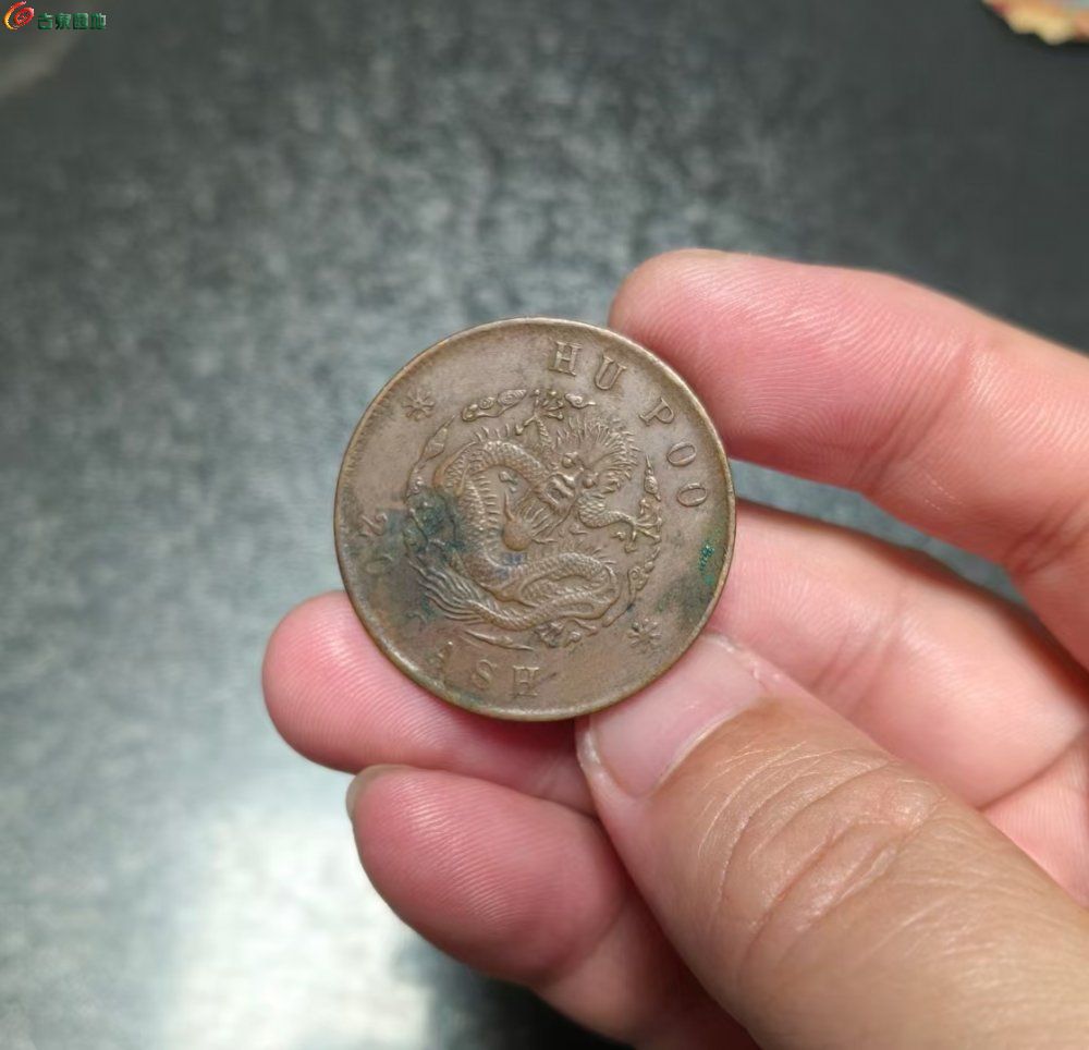 1000045913.jpg