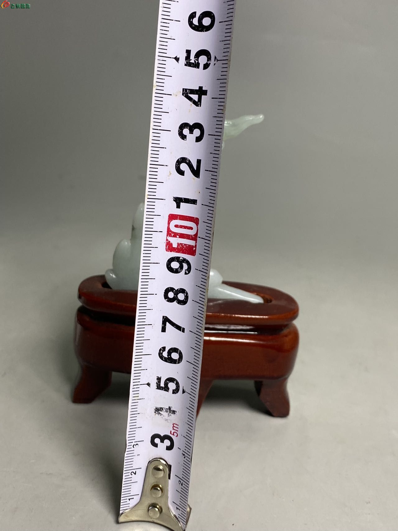 44039.jpg