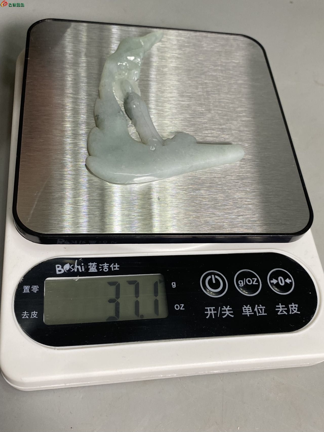 78318.jpg