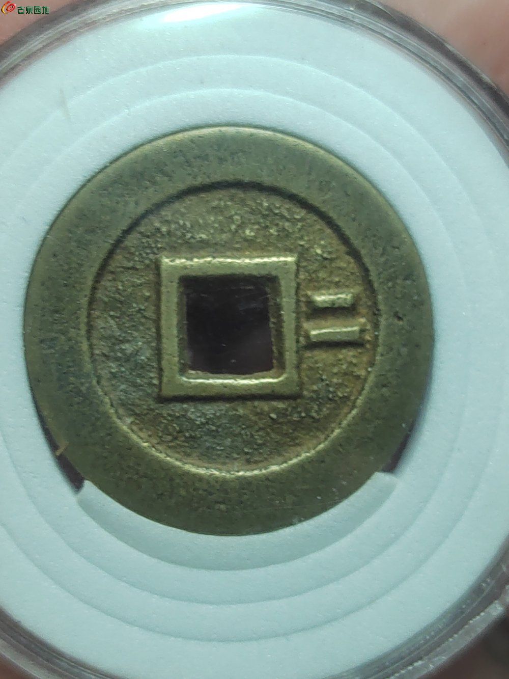 1745085171965.jpg