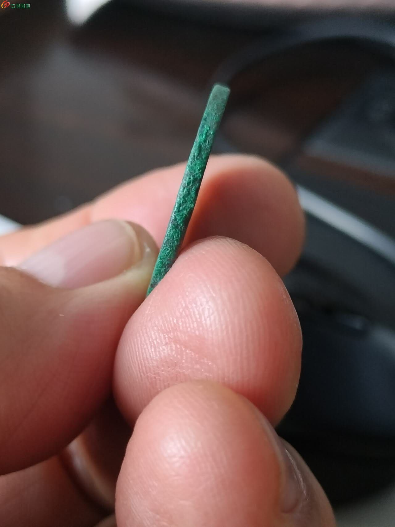 83797.jpg
