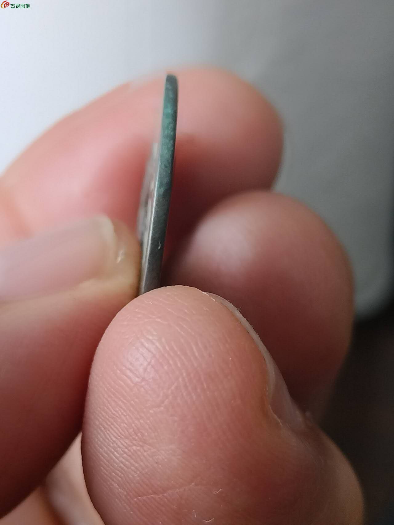 92931.jpg