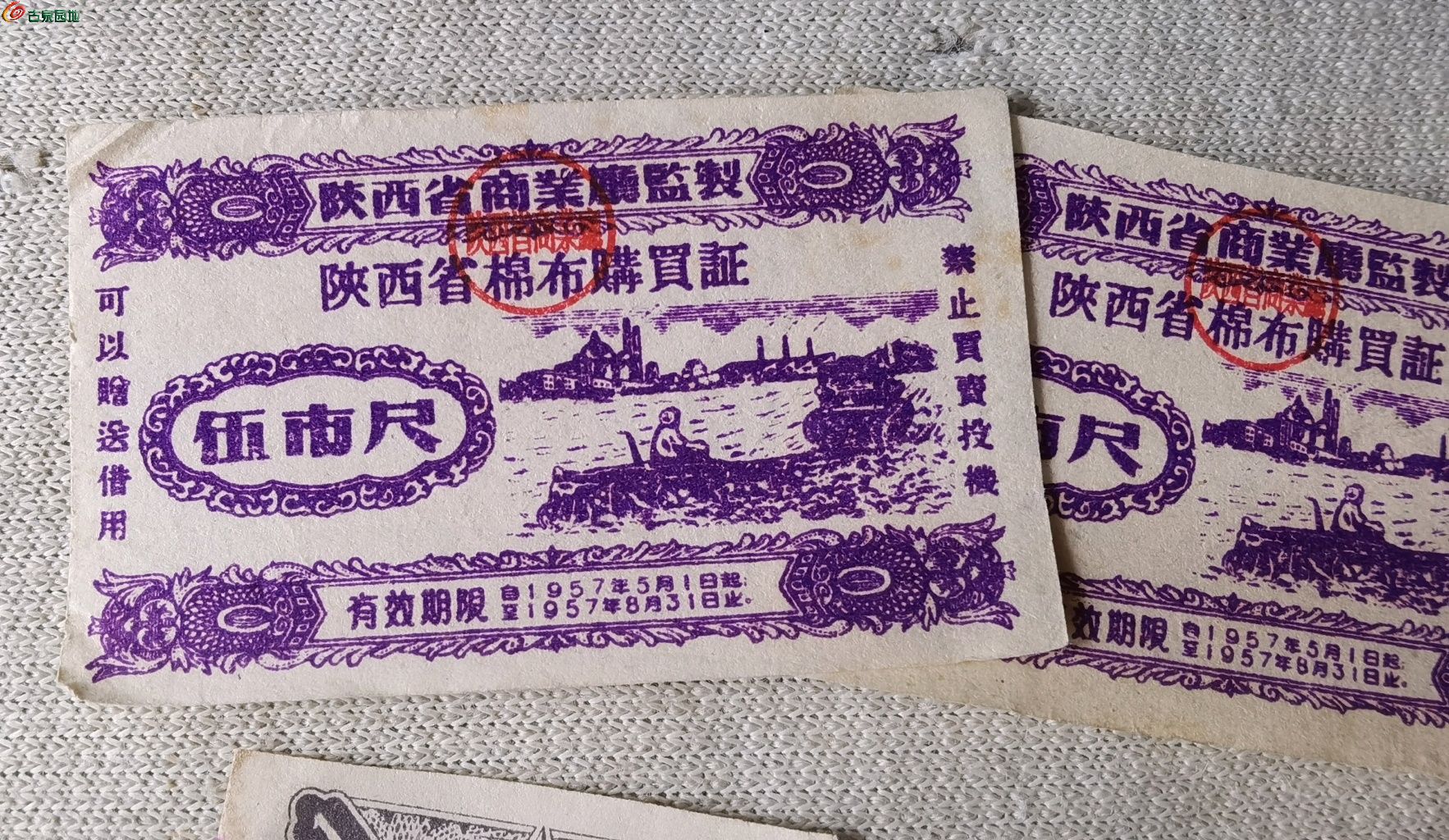 1745900103315.xfile.jpg