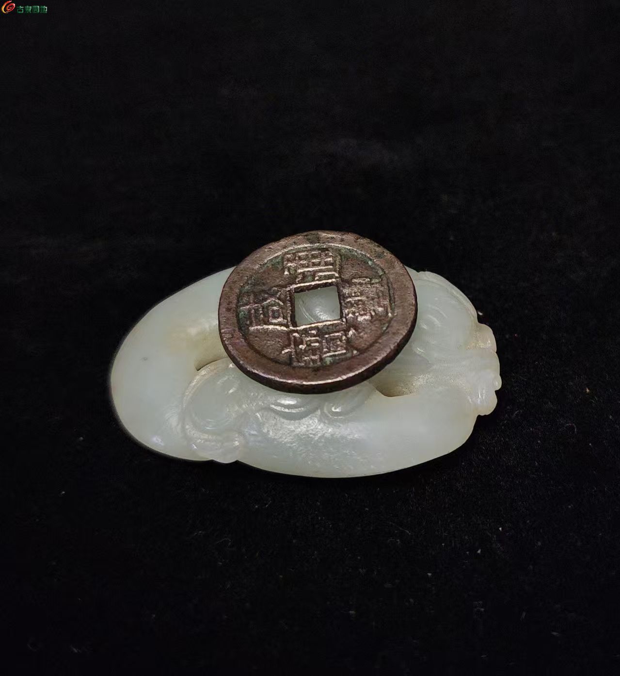 微信图片_20250501140430.jpg