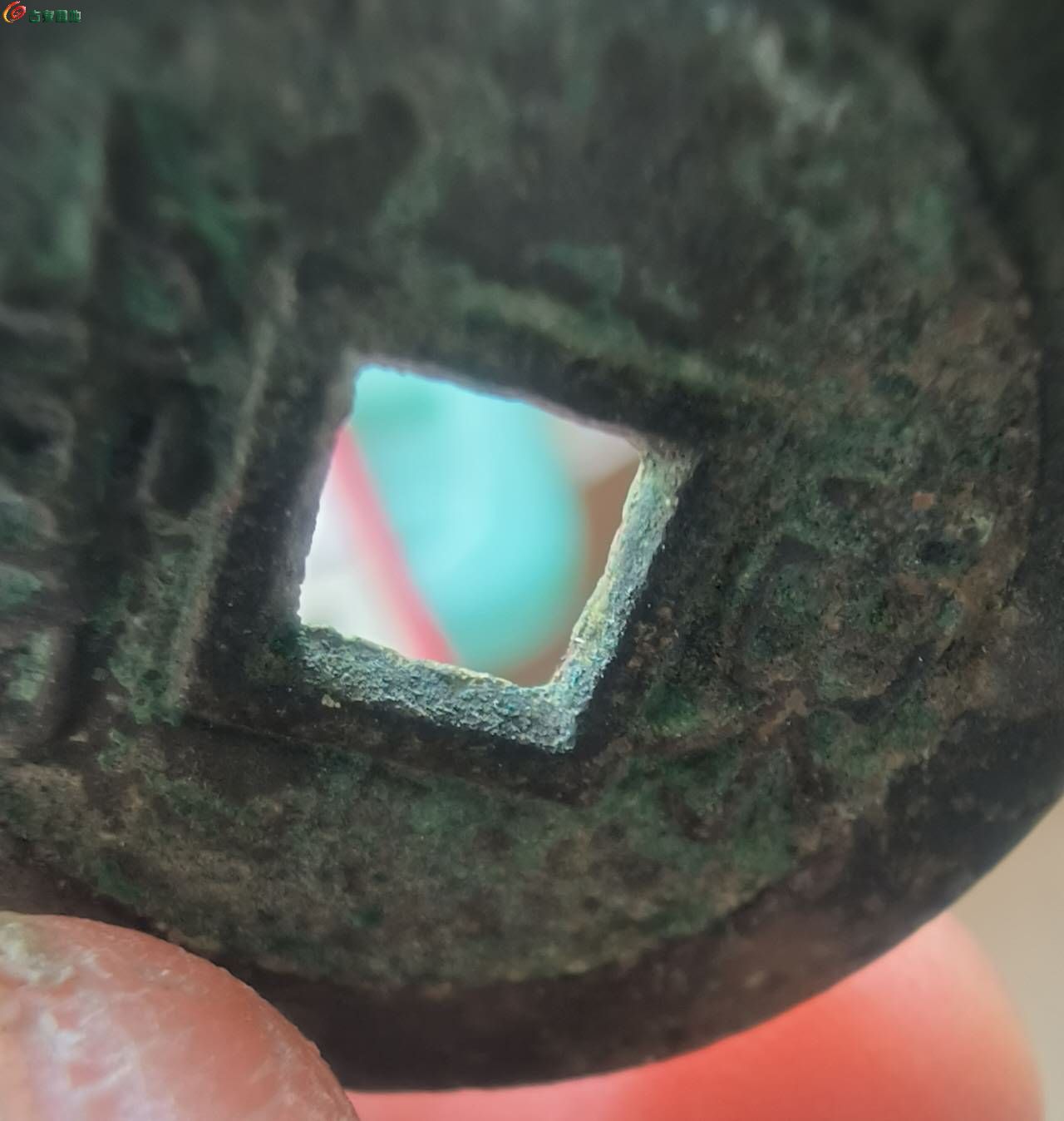 60125.jpg