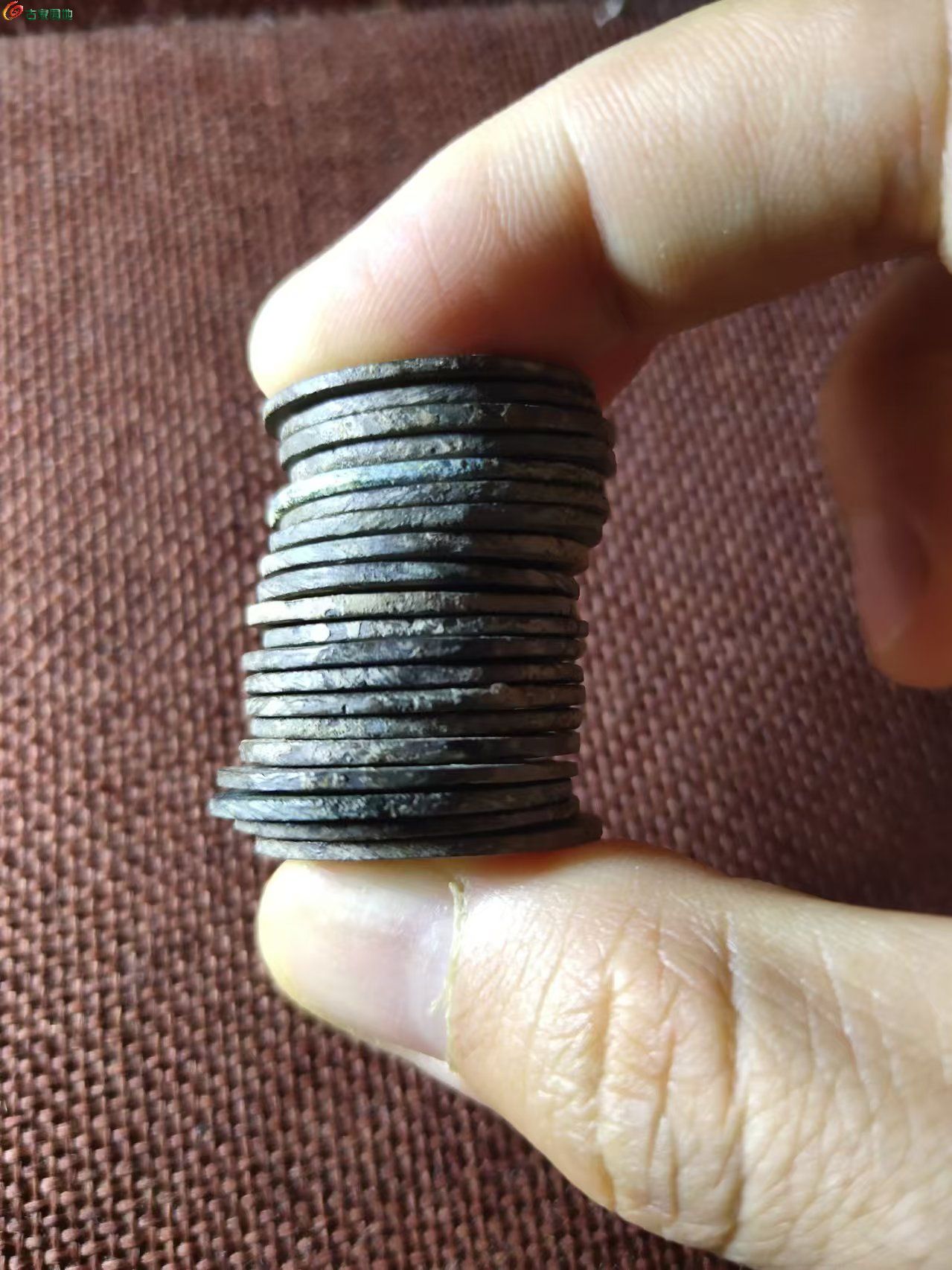 66553.jpg