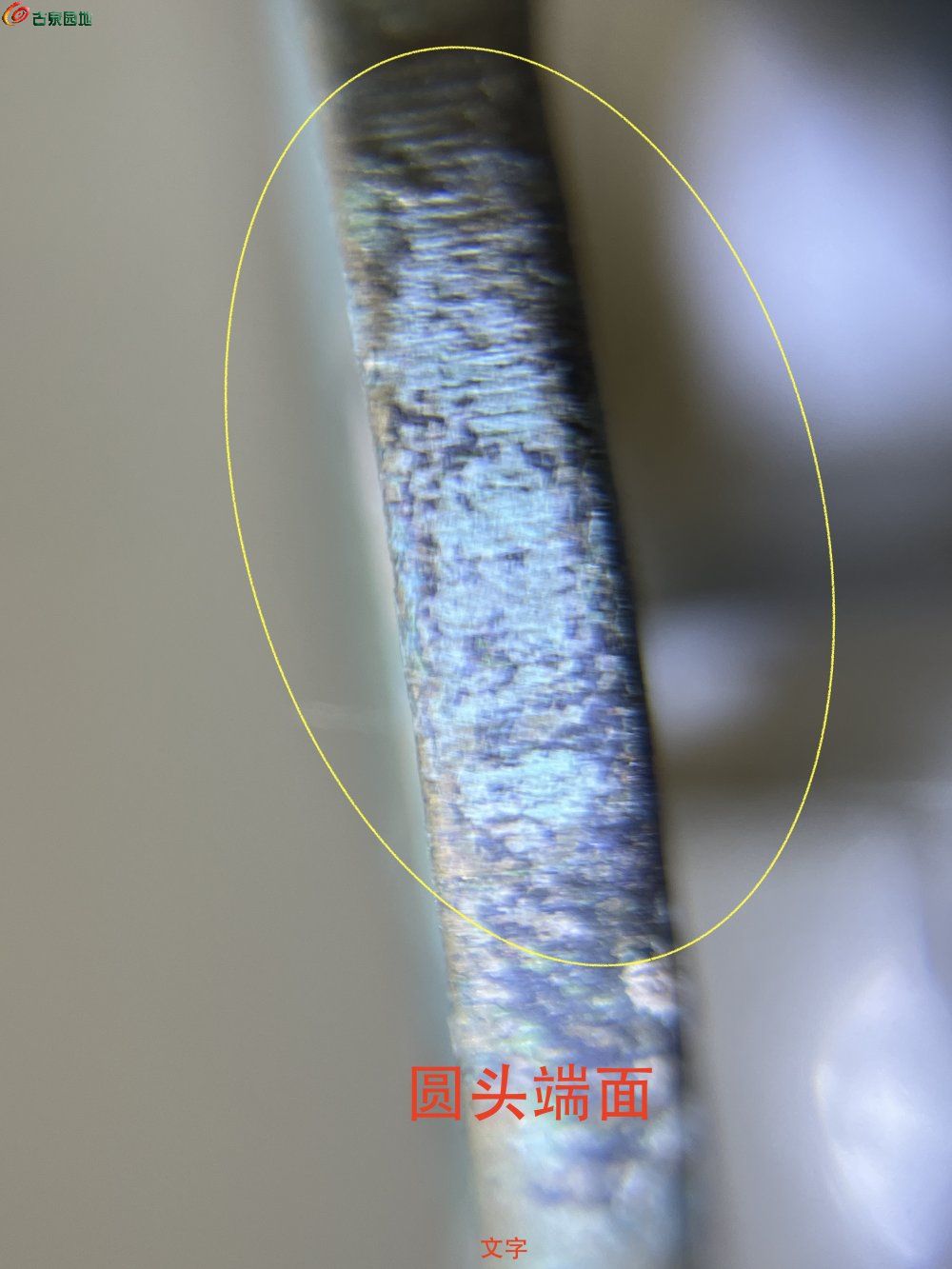 IMG_0297 2拷貝.JPG