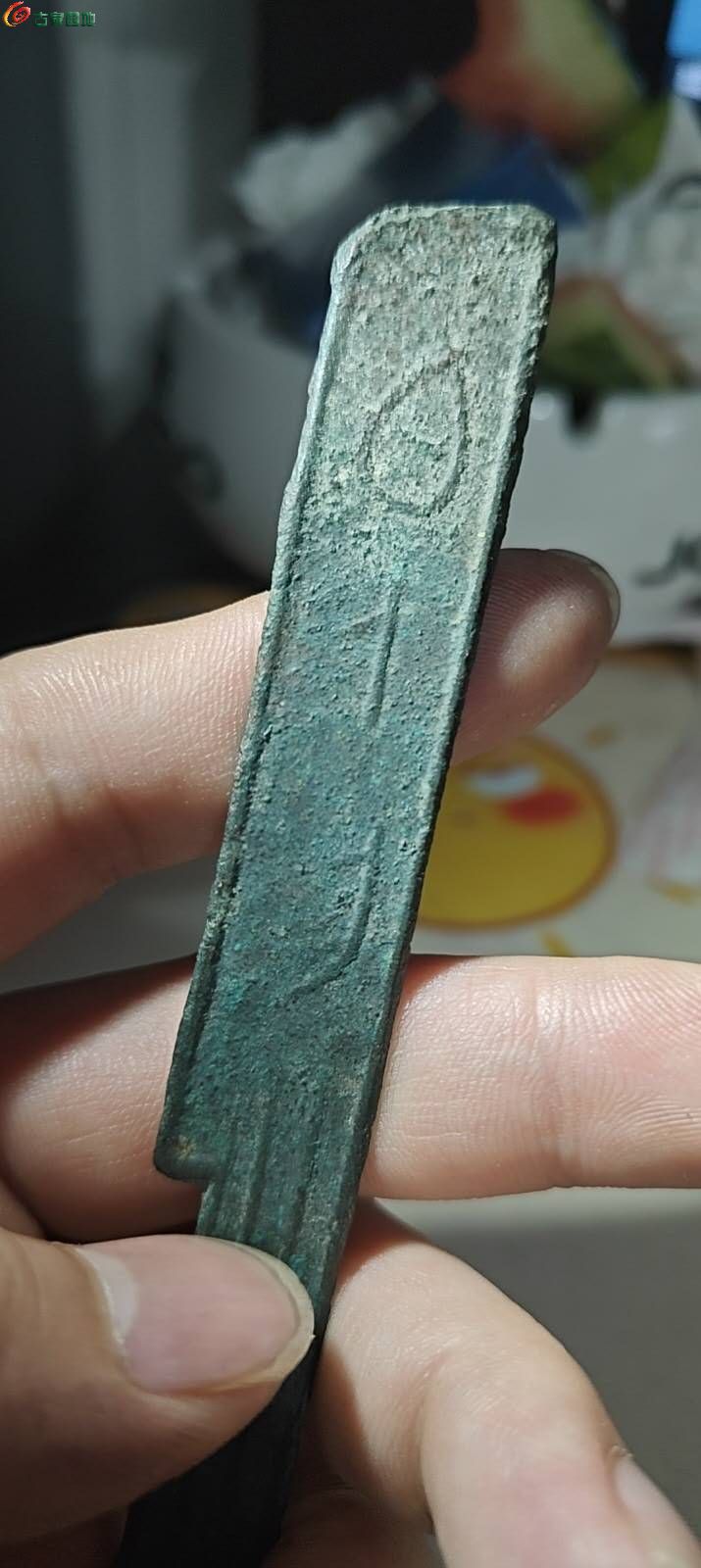 28836.jpg