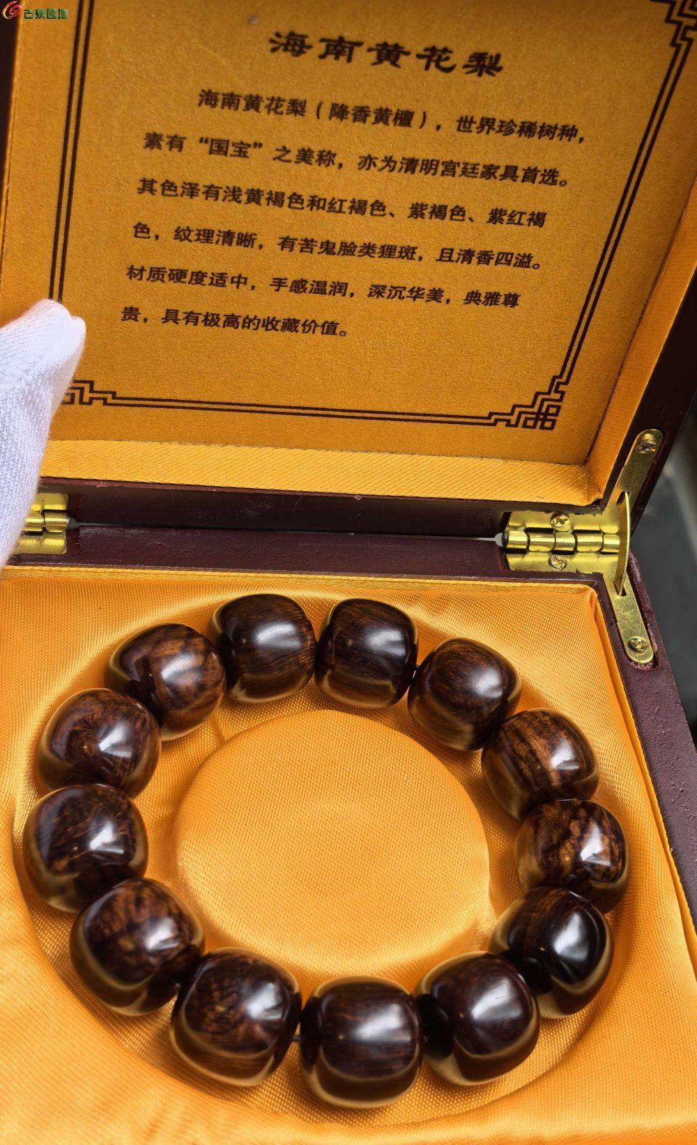 ͼƬ´ڴ򿪲鿴